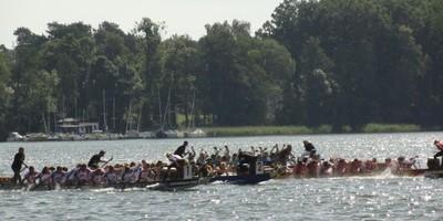 Teilnehmerrekord zum 16. Saarower Drachenbootcup