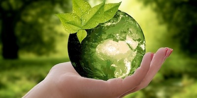 Zum Nachhaltigkeits-Champion werden: Ideen und Inspiration zum Schutz unserer Erde