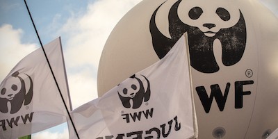 World Wide Fund For Nature (WWF) ruft auf: "Jetzt Flüsse befreien"