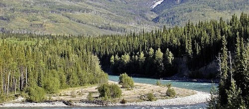 "Abenteuer Yukon" - Mit dem Kanu durch Kanada und Alaska