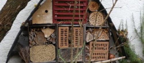 Das Bootshausgelände soll für die Bienen blühen